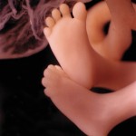 11wks