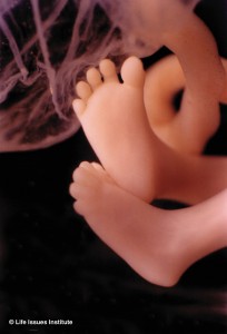 11wks