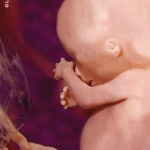 LII16wks1