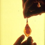 Baby in Amniotic Sac