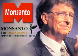 Bill Gates reportedly owns 500,000 Monsanto shares
