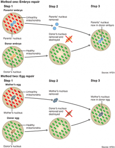 Three-Parent Diagram