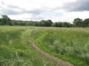 Hampstead Heath, near West Hampstead, is used by homosexual men to make anonymous sexual contacts.