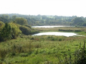 Sandwell Valley is next-door to Handsworth, Alan Ogston's destination.
