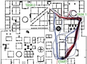 The men and women studied a virtual maze
