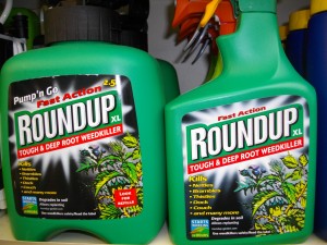 Monsanto's Roundup Glyphosate killer on the shelves at a garden centre in the UK