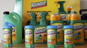 The German government is keen to ban Roundup. ('Wurzel' is the German for 'root')