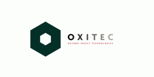 British-based Oxitec is accused of supplying GM male mosquitoes that don’t actually work, despite their publicity (below).
