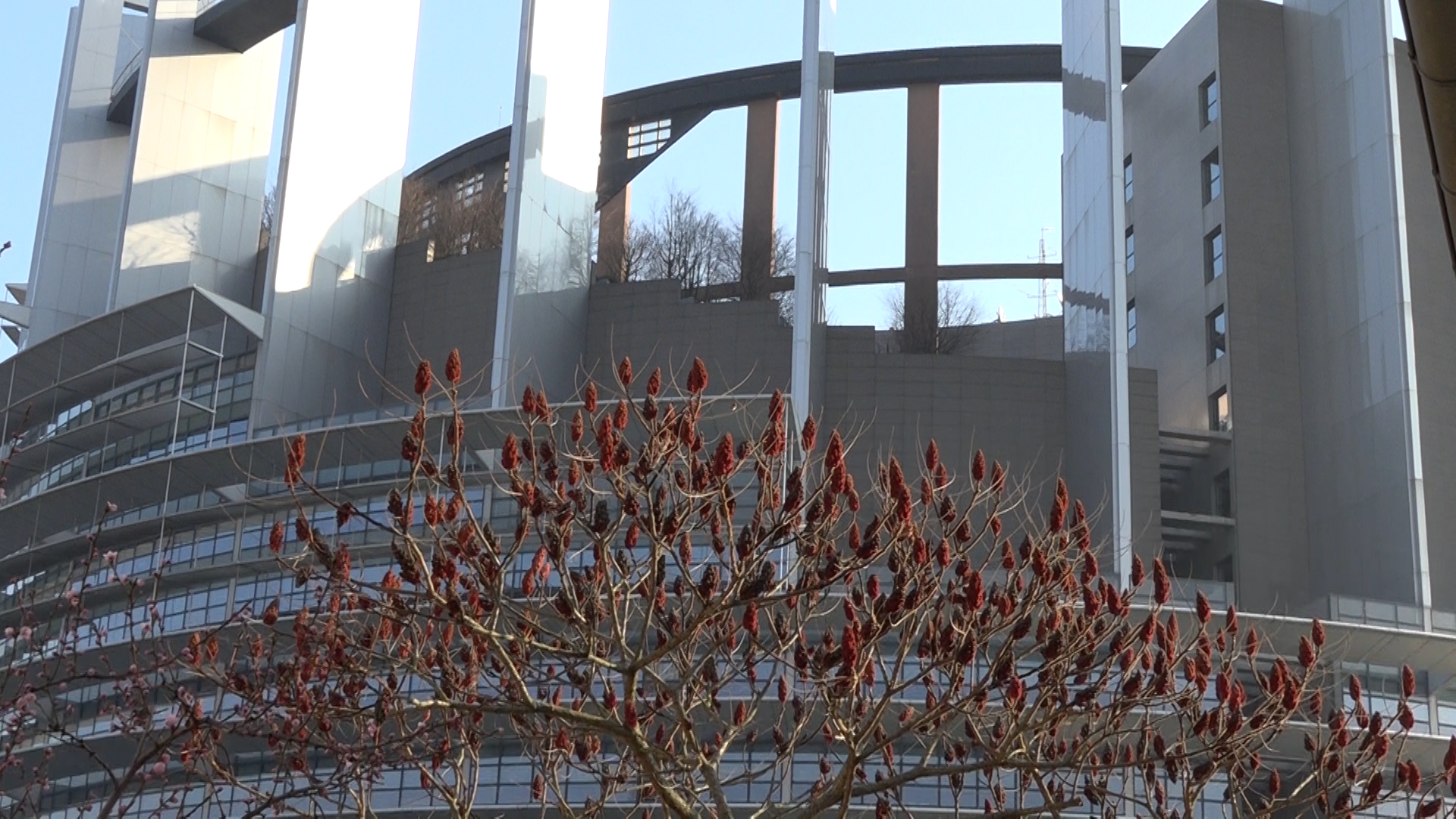 The European Union’s Tower of Babel