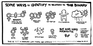 From someone called 'sykochica' on a website entitled 'steemit.com'. The comments show how seriously the contributors take this issue. The leading comment says: ’The perfectly binary gender is a social construct, not a biological construct ’ to which 'sykochica' replies: ‘I completely agree.’ 
