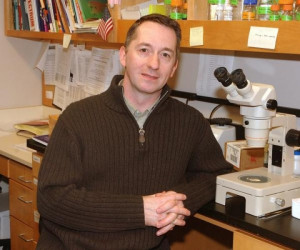 Prof Gordon Lithgow