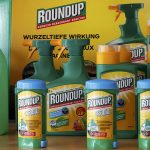 Avaaz doesn’t like Monsanto, makers of ‘Round-up’ weedkiller and GM crops.  But it’s a soft target, as nobody likes them.