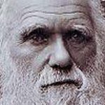 Darwin