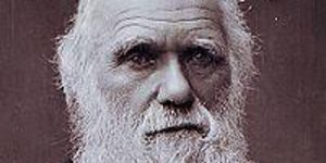 Charles Darwin knew nothing of DNA or molecular biology