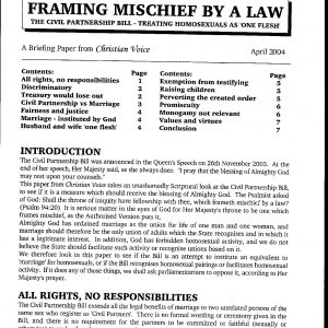 Framing Mischief by a Law