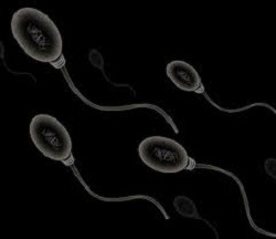 Brutal Britain including: Super sperm donor fathers 200 children after Facebook advert