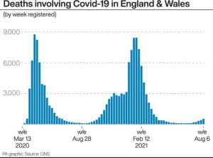 Deaths within 28 days of a positive Covid test.