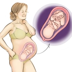 A baby at 32 weeks from the Natural Childbirth Trust website