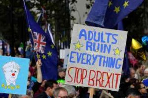 A sign at an anti-Brexit rally. 