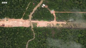 The Belem Highway destroyed 100,000 trees for no discernable purpose.