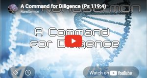 Nanosermon: A command for diligence!