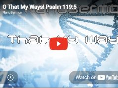 Nanosermon on Psalm 119: O that my ways!