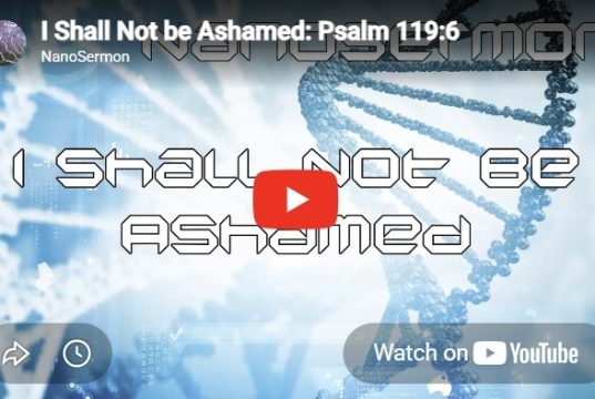 Nanosermon: I shall not be ashamed.